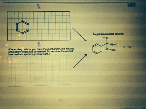 Solved The Fischer etherification mechanism it examined in | Chegg.com