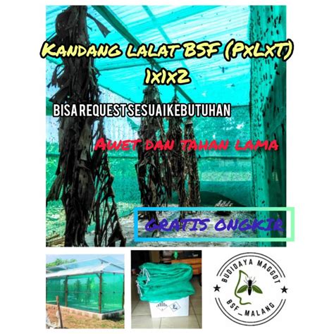 Jual KANDANG LALAT BSF 1X1X2 SIAP PAKAI KANDANG MAGGOT JARING BSF