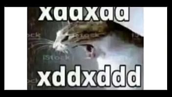 4 Garotas Tentando Arrombar Uma Porta XVIDEOS