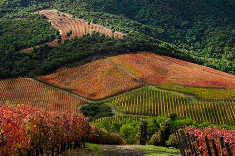 Clos Apalta Residence: Luxury Hotel in Colchagua Valley, Chile | LANDED Hotel