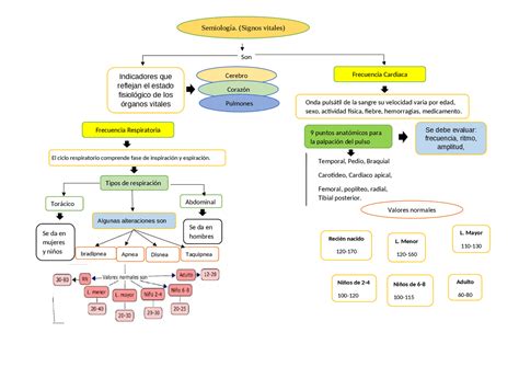 Semiología Signos Vitales Esquemas Y Mapas Conceptuales De Semiología