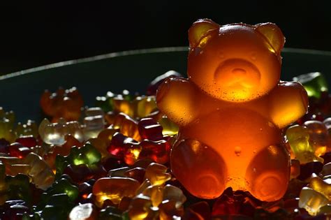 Online Crop Hd Wallpaper Giant Rubber Bear Gummib R Gummib Rchen