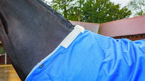 Swish Equestrian lightweight turnout review | Horse & Hound