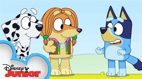 Bluey Season 3 Episode 44 Wild Girls Episode Clip Disneyjr X