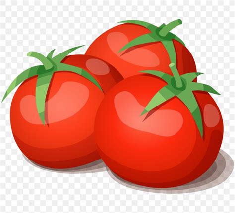 Clip Art Vector Graphics Tomato Illustration PNG 990x900px Tomato