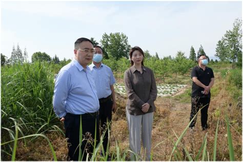 王健梅检查自建房安全隐患排查整治和粮食安全工作 城固县人民政府