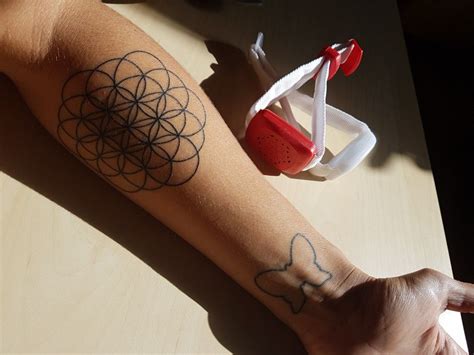 Pin by MARIA PILAR TERRIBAS PÉREZ on tatoo flor vida Flower of life