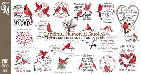 Cardinal Memorial Quote Clipart Png Bundle Bundle Creative Fabrica