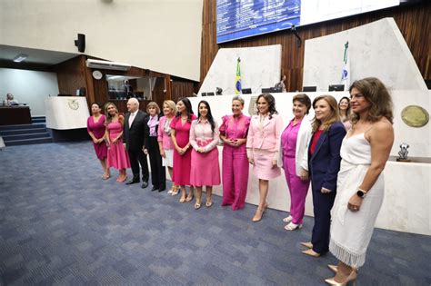 Assembleia Legislativa Do Paraná Notícias Comissão De Defesa Dos Direitos Da Mulher Da