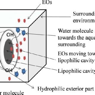 Diagrammatic Representation Of Eo B Cd Inclusion Complex Formation