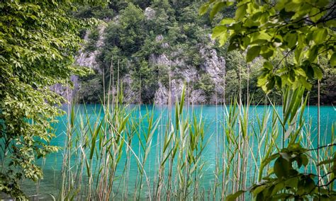 Les Lacs De Plitvice En Croatie Cascades Et Eau Bleue Turquoise