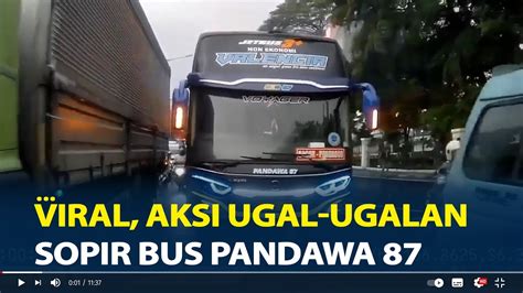 Viral Aksi Ugal Ugalan Sopir Bus Pandawa 87 Mepet Hingga Salip