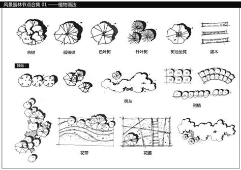 风景园林设计，终身受用植物配置技巧！ 知乎