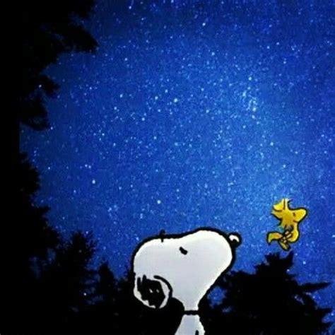 Pin By Jill Smith On Peanuts Gang Snoopy And Woodstock Snoopy Love