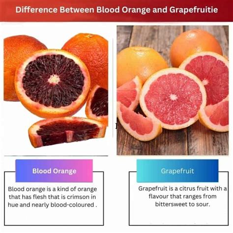 Blood Orange Vs Grapefruit Difference And Comparison