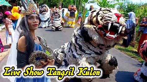 Special Karnaval Can Macanan Singo Raung Dan Drumband Al Azhar Di