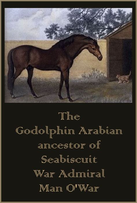 The Godolphin Arabian - What We Can Learn From the Godolphin Arabian’s ...