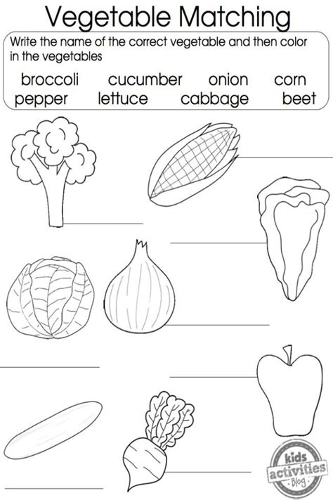 Free Vegetables Worksheets Worksheetspack Worksheets Library