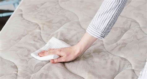 Proven Ways To Clean Pet Urine From A Mattress