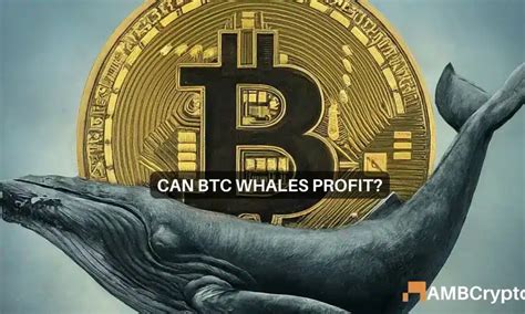 Las ballenas de Bitcoin compran la caída para dejar fuera a los