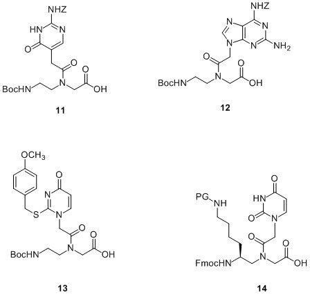 The Flexibility of PNA Synthesis | LGC, Biosearch Technologies