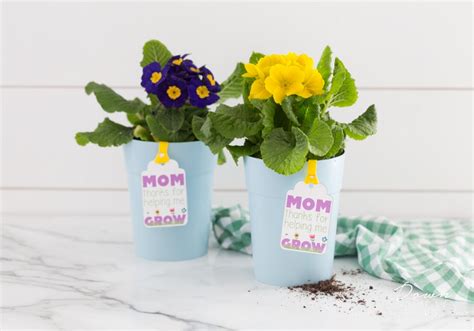 Mother's Day Flower Pot Gift | Free Printable Tags for Mom