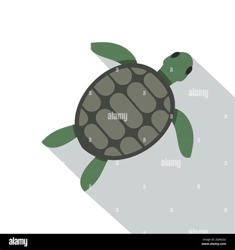 Green sea turtle icon, flat style Stock Vector Image & Art - Alamy