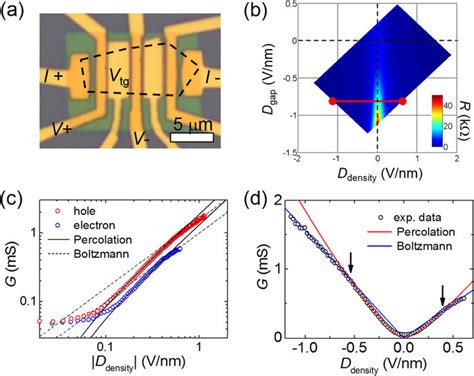 Percolation Transport Behavior In The Gapped Bilayer Graphene A