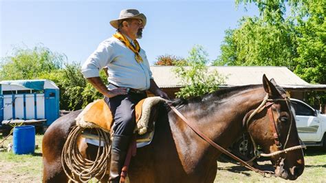 D A Nacional Del Gaucho Por Qu Se Conmemora Este De Diciembre