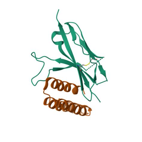 Rcsb Pdb Tyd Crystal Structure Of Fgfr Domain In Complex With A