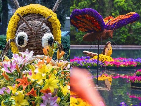 Regresa El Festival De Flores Y Jardines A La Cdmx Tras Una Pausa De