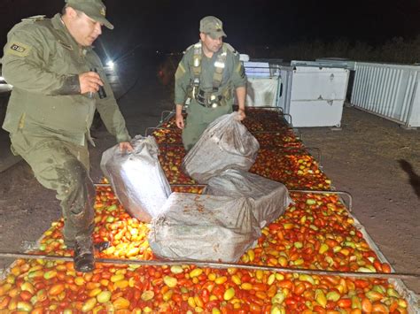 Jujuy Decomisan 461 Kilos De Hojas De Coca LosPrimerosTv