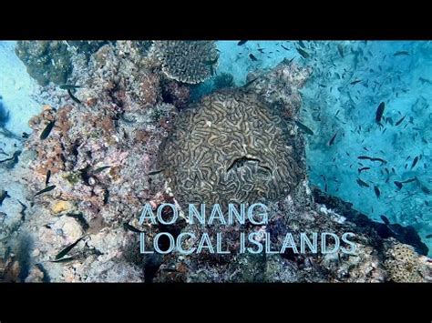 SCUBA Diving In Ao Nang Local Islands With Kon Tiki Krabi YouTube