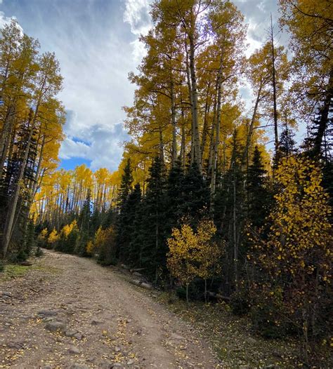 Things To Do In South Fork Colorado Silver Thread Basecamp