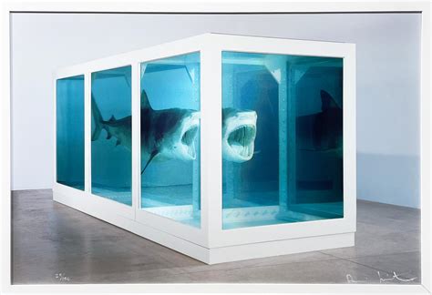 Damien Hirst The Physical Impossibility Of Death In The Mind Of