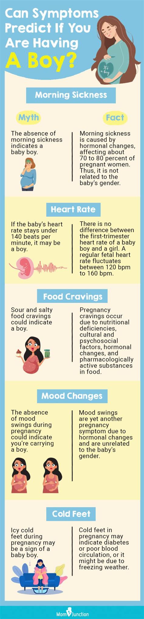 Signs And Symptoms Of Baby Boy During Pregnancy