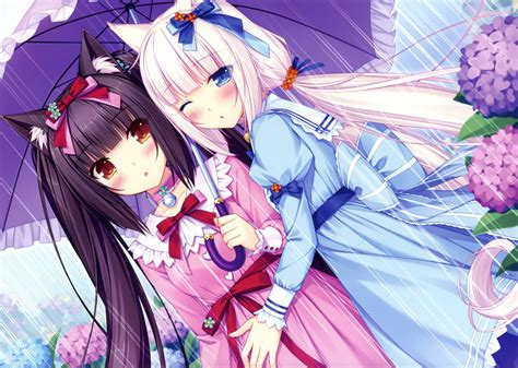 1920x1200 Hd Nekopara Hd Wallpaper Rare Gallery