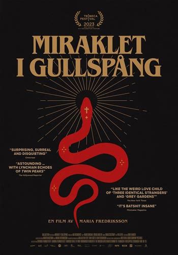 Miraklet I Gullsp Ng Dvd Film