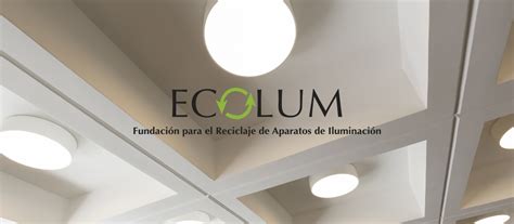 Ecolum Recicla Con Los Cinco Sentidos