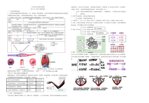 2021 2022学年苏科版八年级生物上册半期复习提纲 21世纪教育网