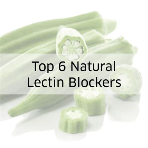 6 Natural Lectin Blockers And How To Easily Get More Of Them Plant Paradox Diet Plant