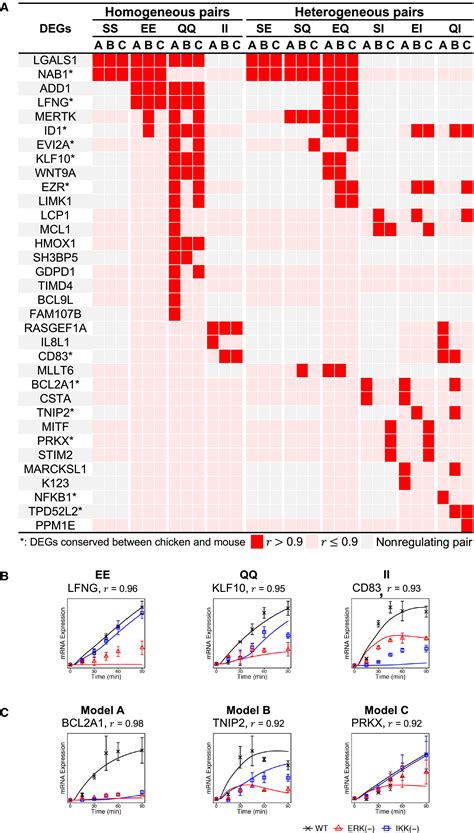 Inferring The Transcriptional Regulatory Mechanism Of Signaldependent