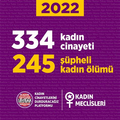 Kadın Cinayetlerini Durduracağız Platformu 2022 Yıllık Veri Raporu