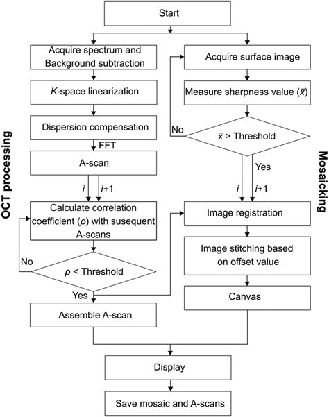 Flowchart Representation Of The Real Time Oct Acquisition And Surface