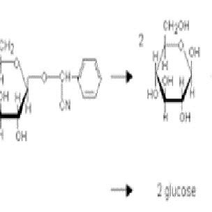 Structure of Amygdalin. | Download Scientific Diagram