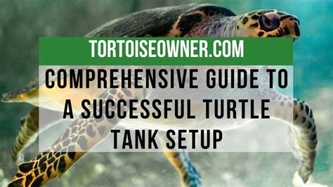 Comprehensive Guide to a Successful Turtle Tank Setup | Tortoise Owner