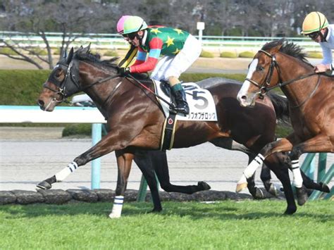 【阪神5r新馬戦結果】トップオブザロックがゴール前の争いを制す 競馬ニュース Netkeiba