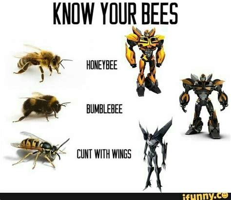 Transformers Fan art and Memes - Random again | Transformers memes, Transformers funny ...