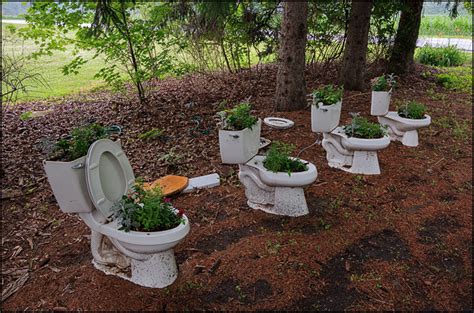 Toilet Planter