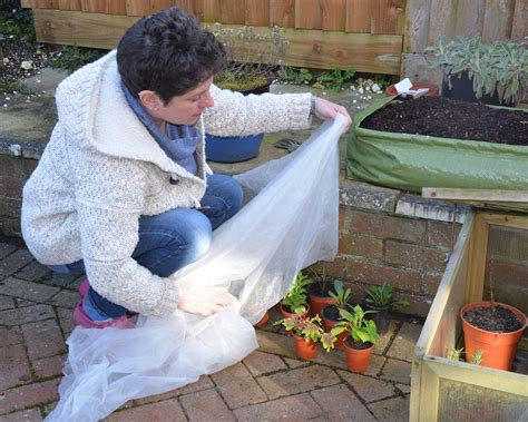 Why you shouldn't use this material as plant frost cover | Gardeningetc